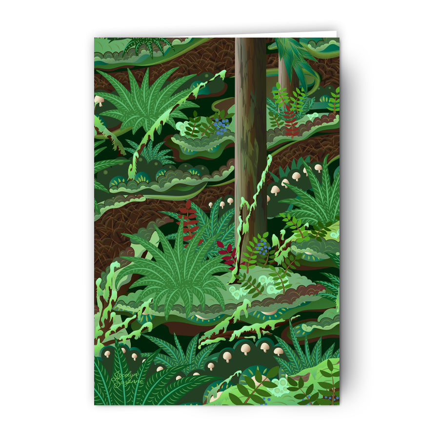 The Loop Trail Variety Box Set - 6 different 6x4" forest art cards