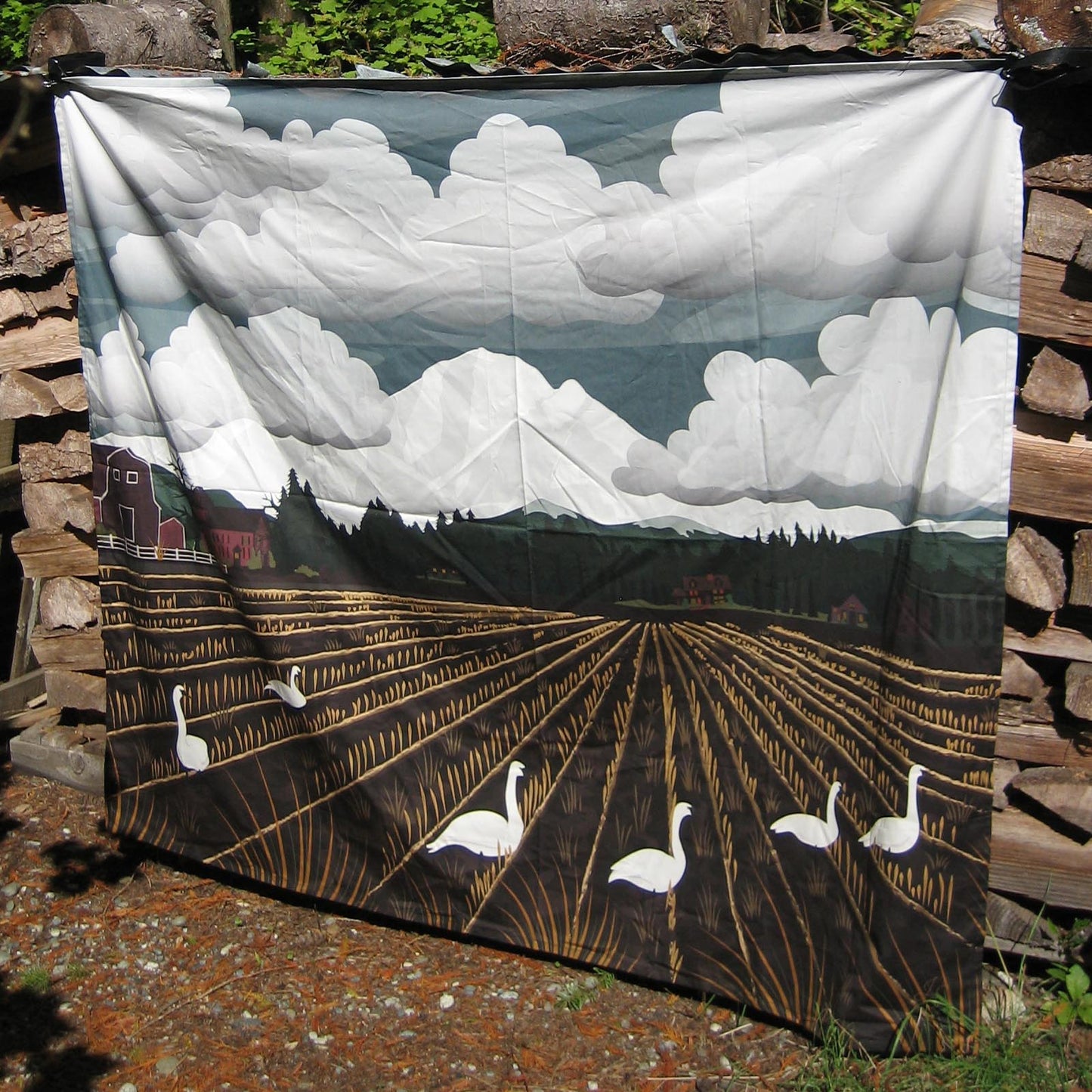 tapestry photo with digital design showing Swans frolic in the mud below Mt Baker with clouds over it as a surprised barn watches